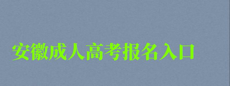 安徽成人高考报名入口