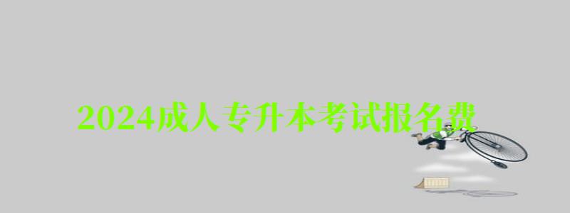 2024成人专升本考试报名费