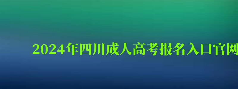 2024年四川成人高考报名入口官网