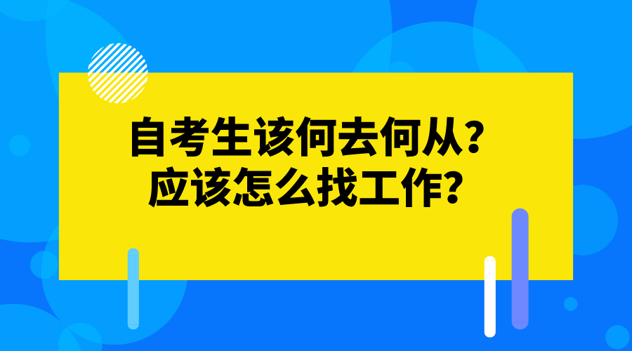 自考生该何去何从？应该怎么找工作？