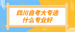 四川自考大专选什么专业好